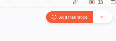 Add Insurance button in the top right corner of the Insurance tab